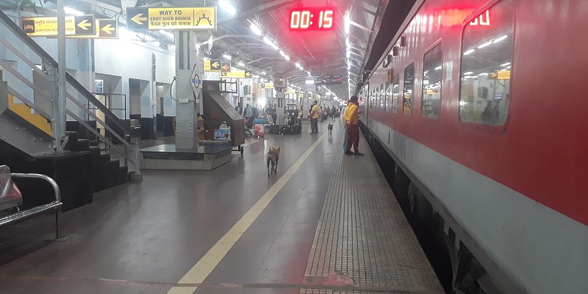 Sarala Temple can be reached by bus and rail as it is connected to major cities.