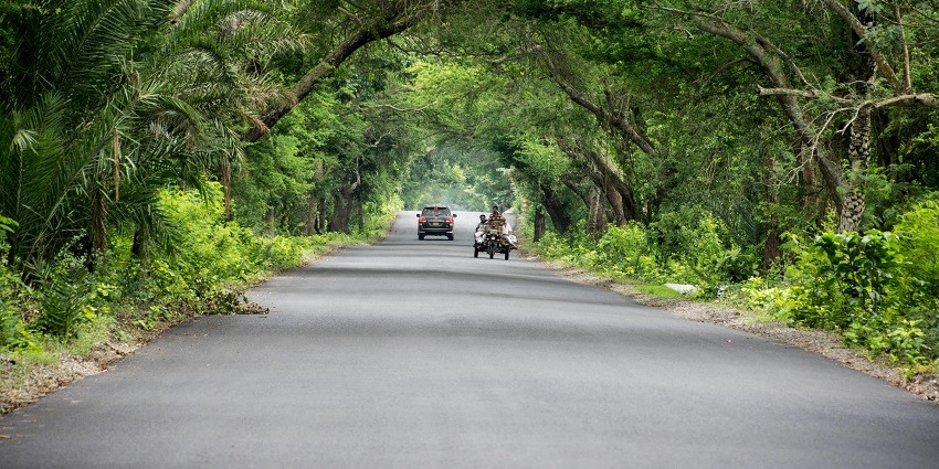 A beautiful road passing through the jungle which is covered by lush greenery on both ends
