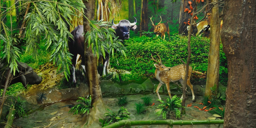 Artificial view of the jungle and animals inside the museum