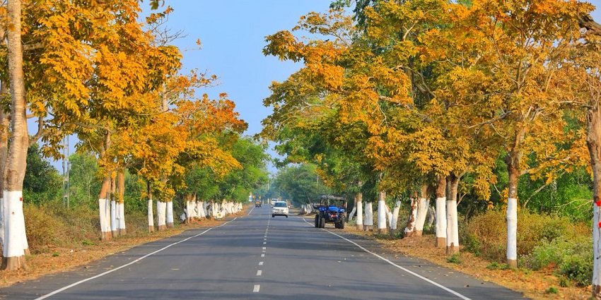 Puri-Konark Marine Drive Road takes visitors directly to the Sadam Sand Art Museum.