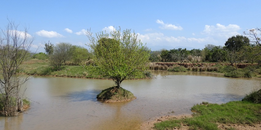 Reaching Sukhna Wildlife Sanctuary is quite easy as it is accessible from every city.