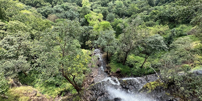 An image of a woodland waterfall that resembles the Sultan Garh Waterfalls amid forests.