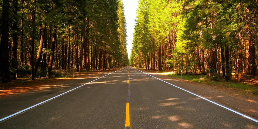 A breathtaking view of a straight road surrounded by lush greenery during the daytime.