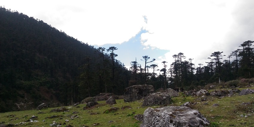 Scenic view of the lush landscapes, offering a pleasant sight for all the nature lovers