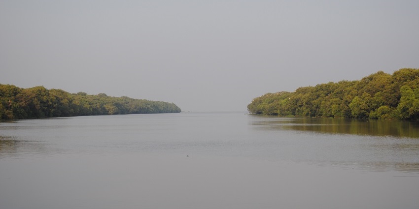 Picturesque view of the serene lake reflecting the blue sky surrounded by lush forests