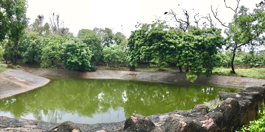The Indira Gandhi Zoological, one of the best places to visit in Vizag for couples