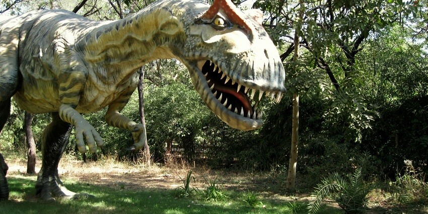 The Indroda Dinosaur and Fossil Park is located on the bank of Sabarmati river