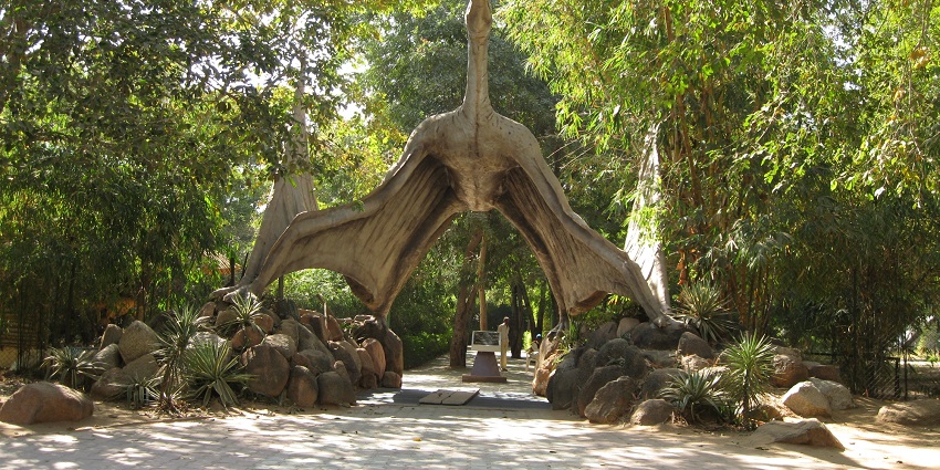 Image of Indroda Nature Park and Fossil Park, nick named as Jurassic park of India