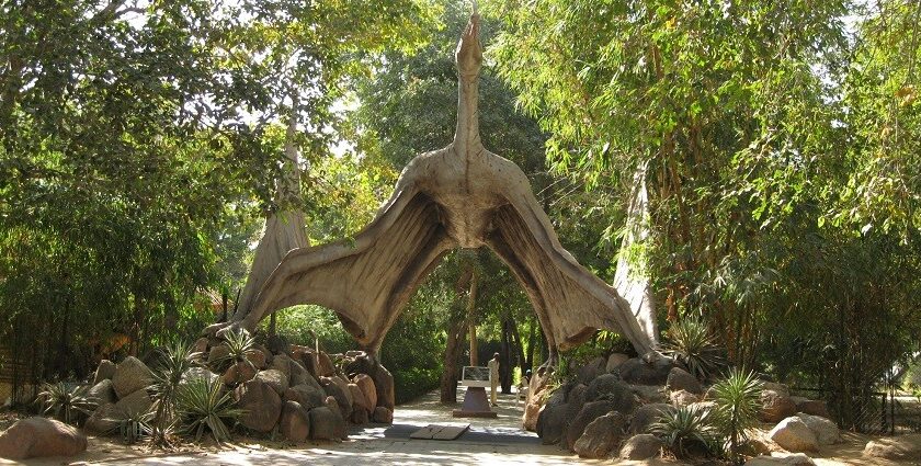 Snapshot of from the front entrance of the Indroda nature park which is also a dinosaur museum