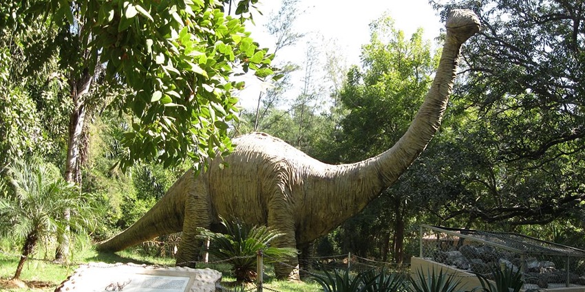 Image of Dinosaur and Fossil Park in Gandhinagar, Gujarat - One of the best places for picnic