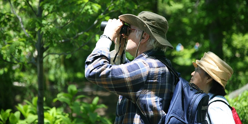 A picture of people observing the various species of birds at the Maredumilli forest, with a binoculars