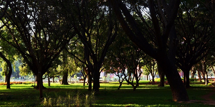 A beautiful view of an idyllic park which is the best scenic picnic place near Rajkot in Gujarat.