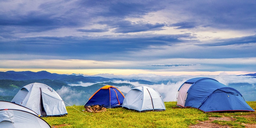 Camping in Solan with multiple tents pitched on a grassy field near a forest under a bright sky.