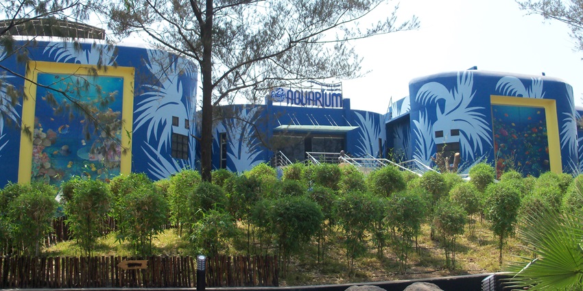Visit Jagdishchandra Bose Aquarium in Surat, featuring 100+ fish species and touch pools