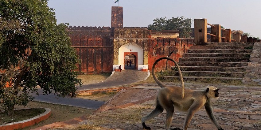 View of Jaigarh Fort offering historical insights and scenic views