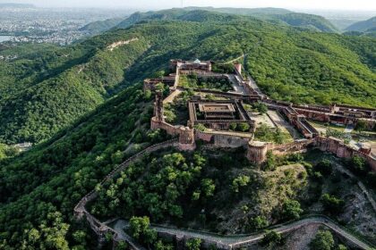 A panoramic view of the greenery at one of the Jaipur National Parks.