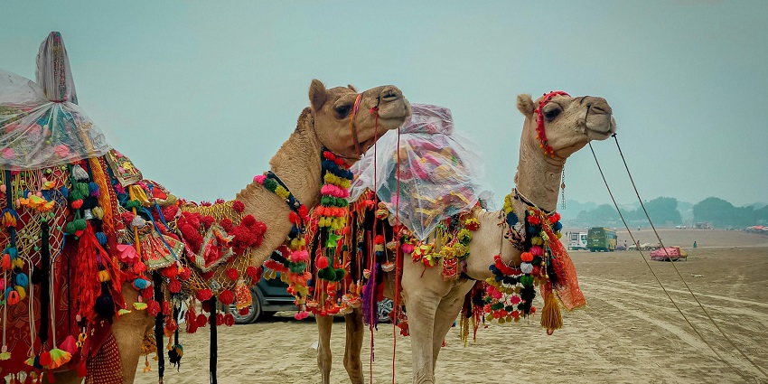 Jaisalmer Desert Festival celebrates Rajasthan’s heritage with musicians and dancers.