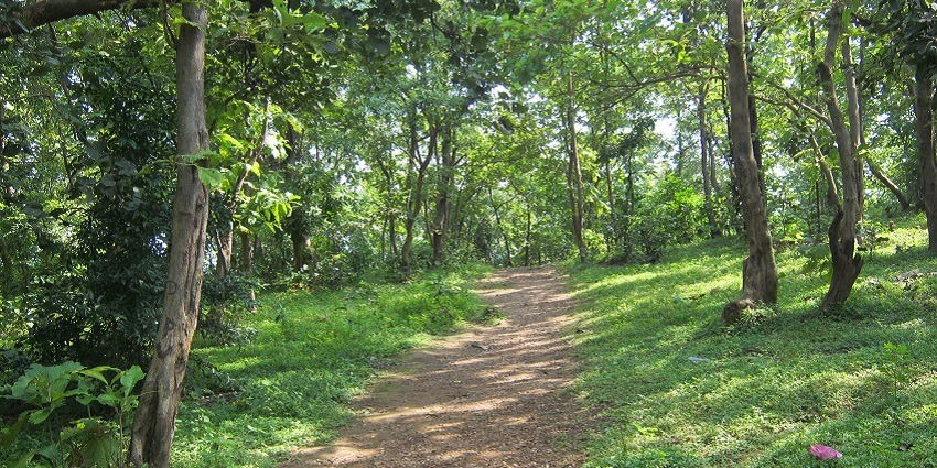 Image of Jambughoda Wildlife Sanctuary. which shows a wonderful and scenic form of nature