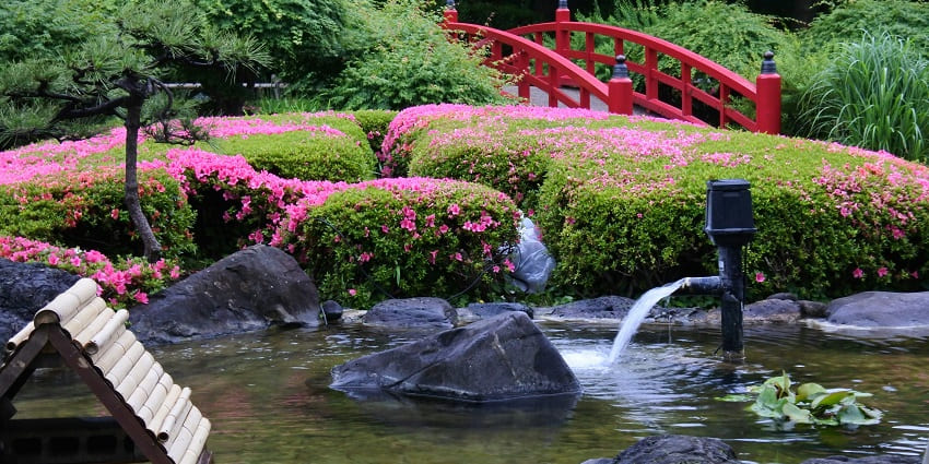 A glimpse of the iconic Japanese Garden, one of the quaint theme parks in Chandigarh.