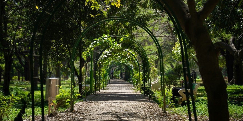 Pathways of Japanese garden, one of the best places to visit near Varca Beach for a picnic