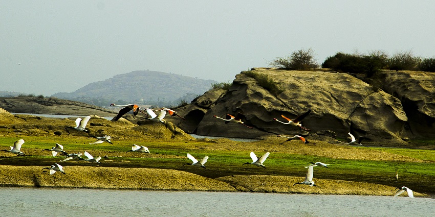 A scenic view of Jawai Lake, which is the best place near Shergarh Wildlife Sanctuary.