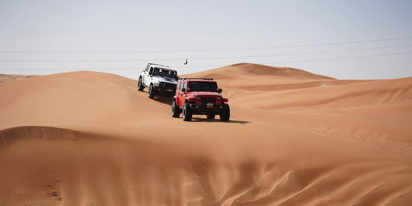 Jeep Desert Safari Bikaner offers a thrilling Thar Desert adventure for wildlife lovers