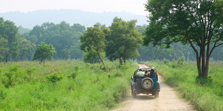 This activity is perfect for exploring every nook and corner while spotting the majestic wildlife