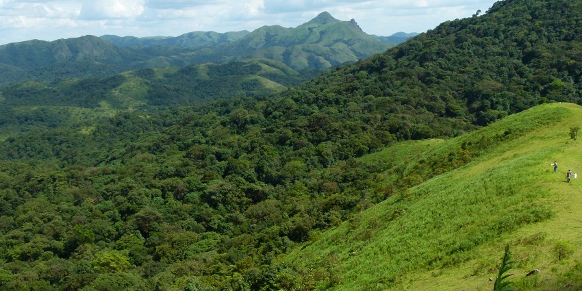 Jenukal Gudda offers broad vistas and is one of the hill stations in Chikmagalur.
