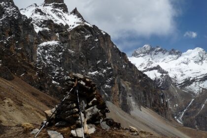 Lush greenery and mountainous terrain in Jigme Dorji National Park, showcasing Bhutan's beauty