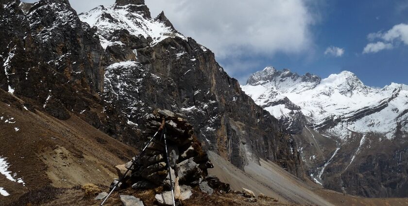 Lush greenery and mountainous terrain in Jigme Dorji National Park, showcasing Bhutan's beauty