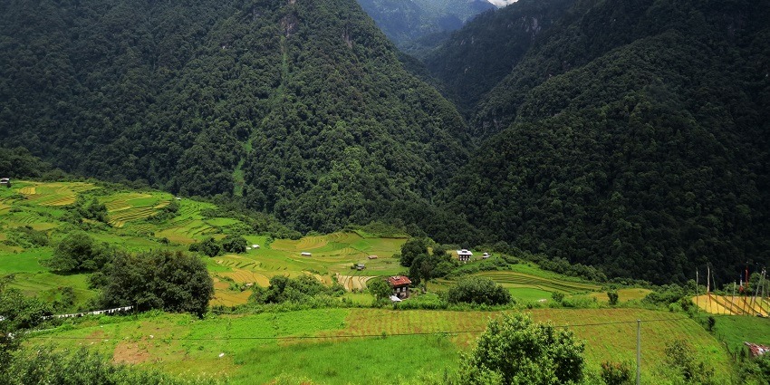 Jigme Dorji National Park with diverse wildlife and stunning mountainous landscapes.