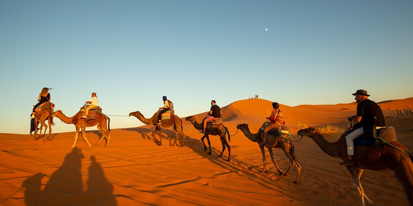 Camel safari in Thar Desert features starlit nights, Rajasthani performances, and outdoor dining