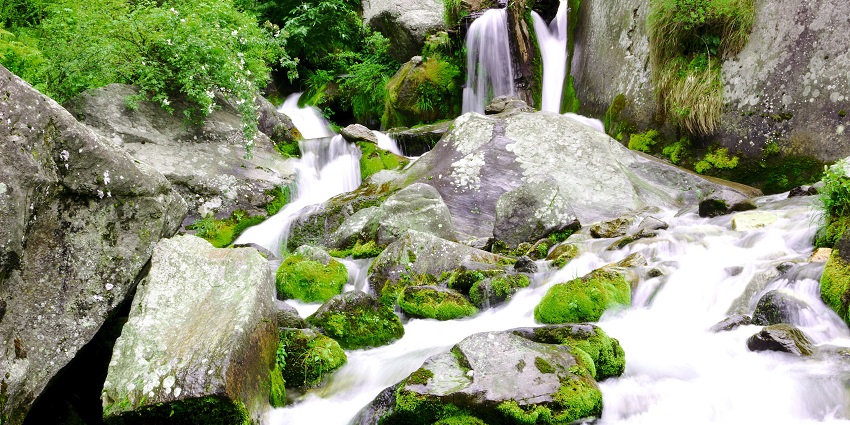 Jogini Waterfalls has a cascading stream that descends from a height of 10 feet in Himachal
