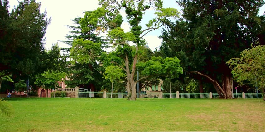 Jorge Barreto Park is a perfect place to relax amid nature, and enjoy a fun picnic.