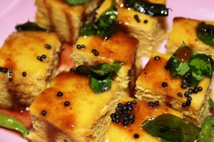 A vibrant shot of one of the best food in Junagadh, Dholka, served with sweet and sour chutney