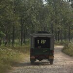 Jungle Safari Park Udaipur offers Guided safaris in 80 km of wildlife in Rajasthan