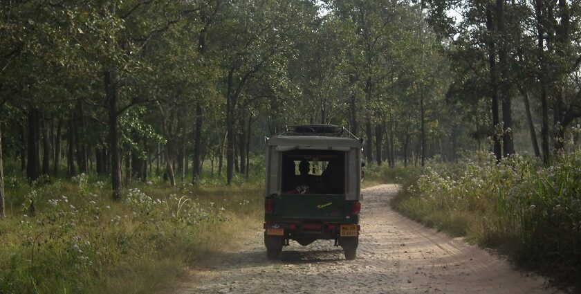 Jungle Safari Park Udaipur offers Guided safaris in 80 km of wildlife in Rajasthan