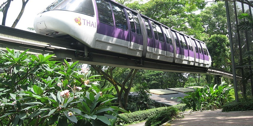 Jurong Bird Park, displayed in a lush, tropical aviary located near Night Safari in Singapore.
