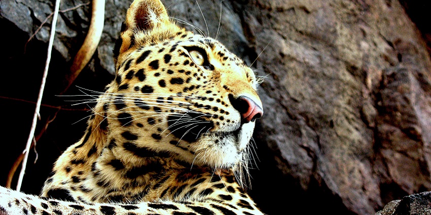 Kachida Valley offers stunning landscapes, wildlife, and photography opportunities.