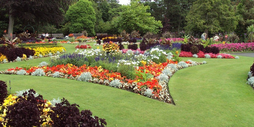 Vibrant flower garden at the Botanic Gardens in a scenic setting of aromatric flowers and trees.