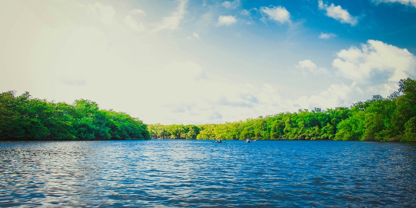 A view of a gorgeous lake surrounded by large rocks and a dense forest, with calm water.