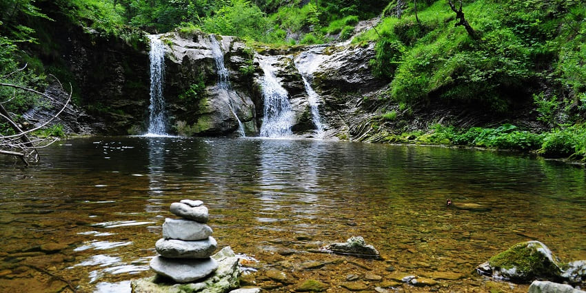 Image of body of water across forest surrounded by lush greenery and water pond