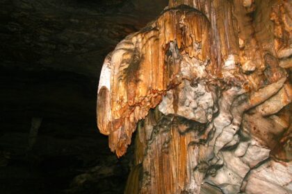 Stalagmites of gold metallic colour formed in a dark cave along with several other rocks