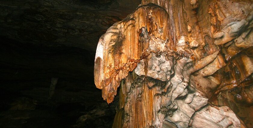 Stalagmites of gold metallic colour formed in a dark cave along with several other rocks