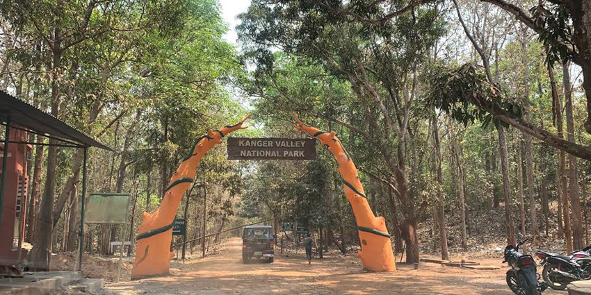 Kailash Caves in Chhattisgarh are located in the sprawling Kanger Valley National Park.