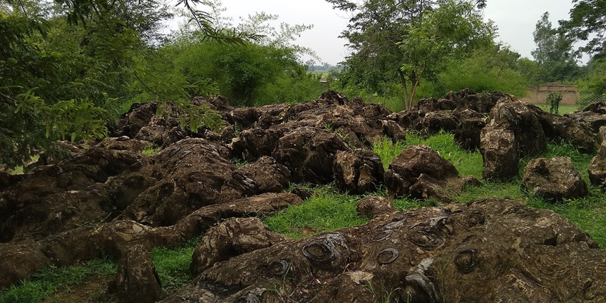 Kaimur Wildlife Sanctuary is one of the best places to visit around Satna for travellers.