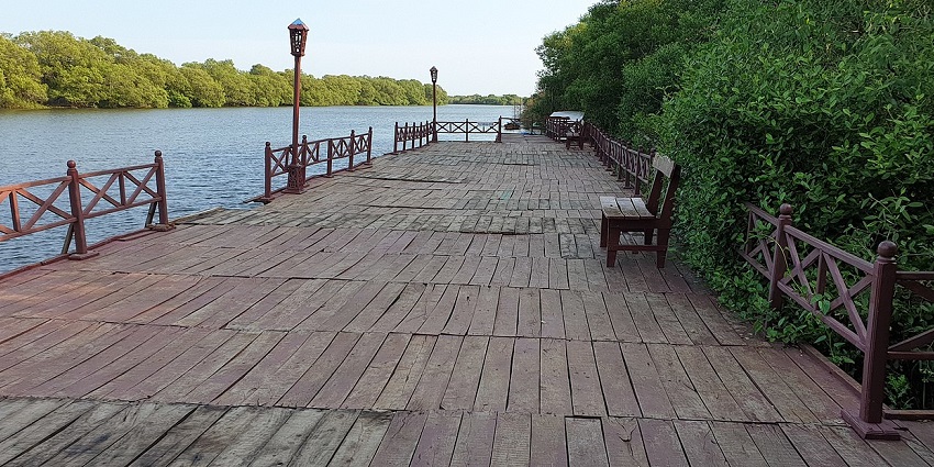A picture of a pathway in Kakinada around the sea with greenery on the right side
