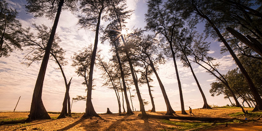 An image of Kalacha Beach which is one of the offbeat beaches in North Goa, India.