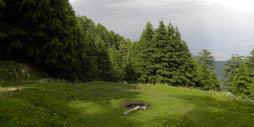 Explore the wildlife sanctuary on your trip to the beautiful state of Himachal Pradesh.