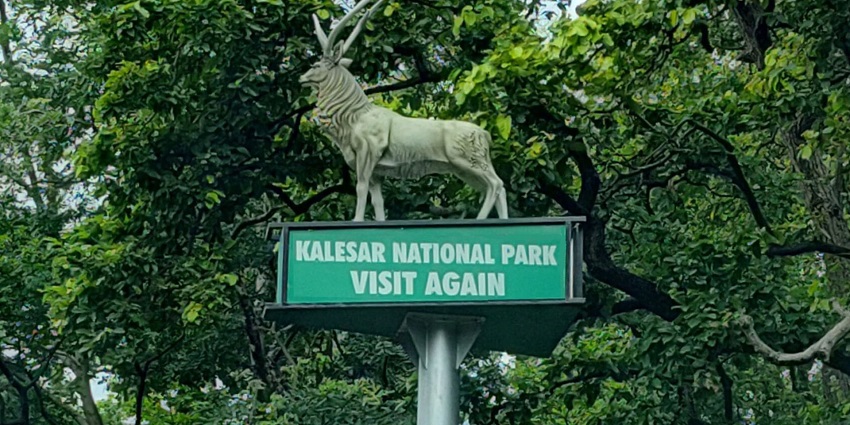 Entrance to Kalesar National Park, a site known for its rich wildlife and bird habitats.